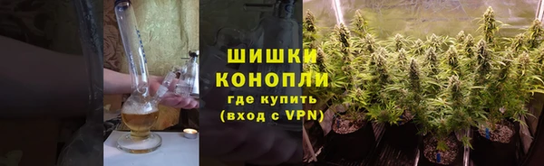 прущие грибы Володарск