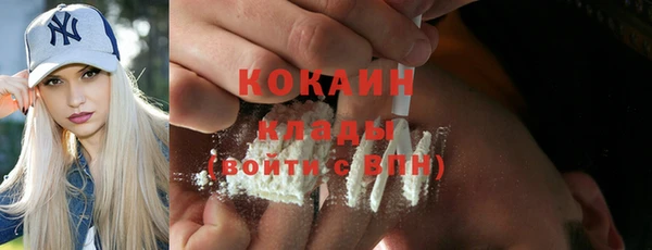 прущие грибы Володарск