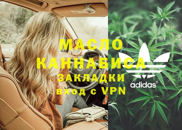 соль ск Вяземский