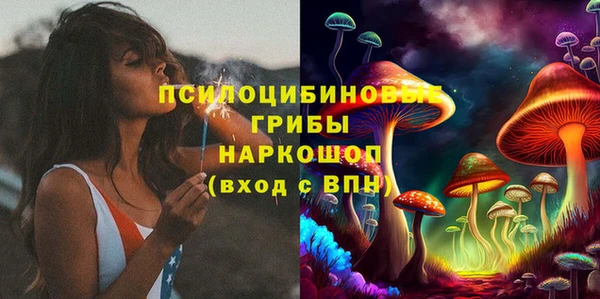 соль ск Вяземский