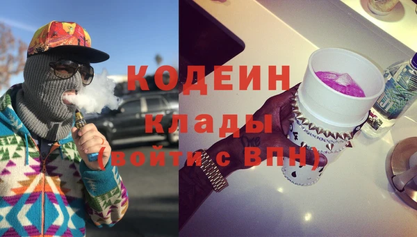 соль ск Вяземский