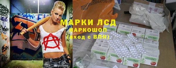прущие грибы Володарск