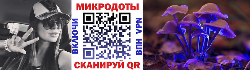 Купить  Гай  Псилоцибиновые грибы Psilocybe 